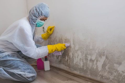 Les astuces pour vous débarrasser des moisissures