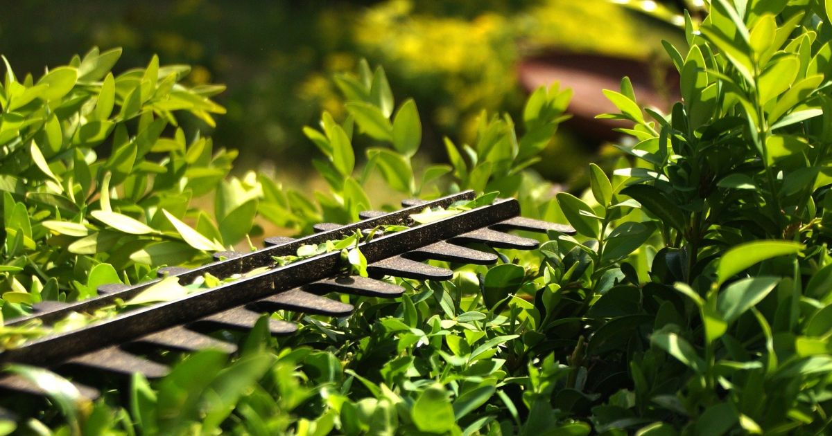 Entretien d'espaces verts