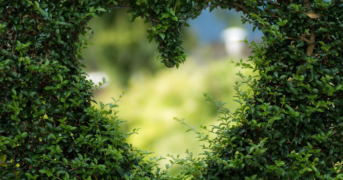 L'entretien de jardin tout en un, les entreprises s'adaptent  !