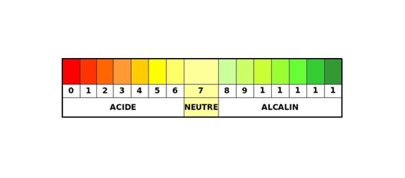Existe-t-il des produits de nettoyage miracles ?